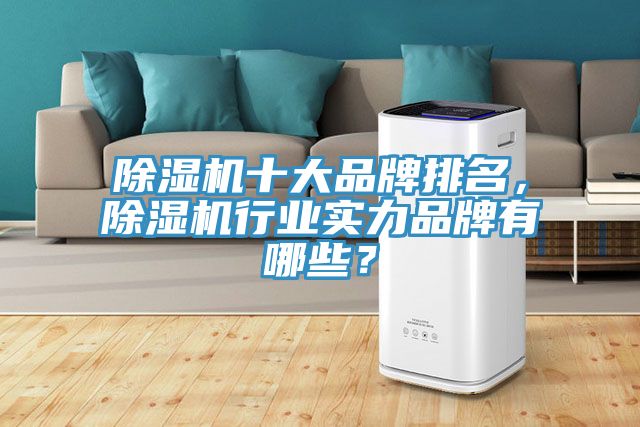除濕機十大品牌排名，除濕機行業(yè)實(shí)力品牌有哪些？