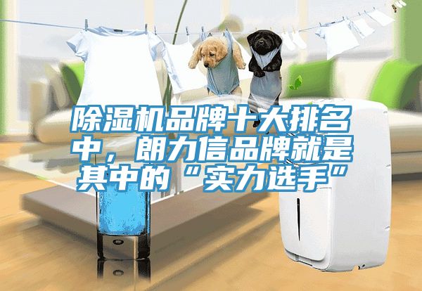 除濕機品牌十大排名中，朗力信品牌就是其中的“實(shí)力選手”