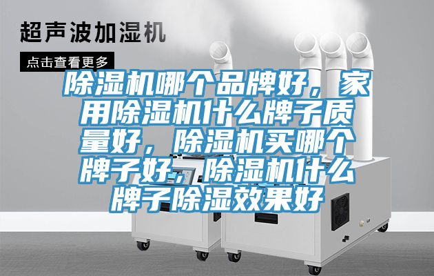 除濕機哪個(gè)品牌好，家用除濕機什么牌子質(zhì)量好，除濕機買(mǎi)哪個(gè)牌子好，除濕機什么牌子除濕效果好