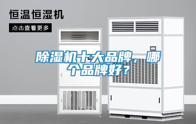 除濕機十大品牌，哪個(gè)品牌好？