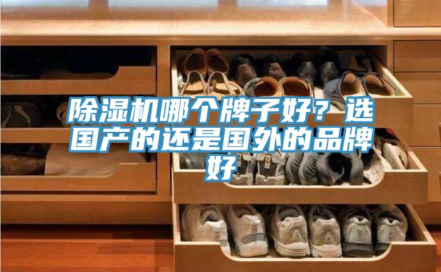 除濕機哪個(gè)牌子好？選國產(chǎn)的還是國外的品牌好