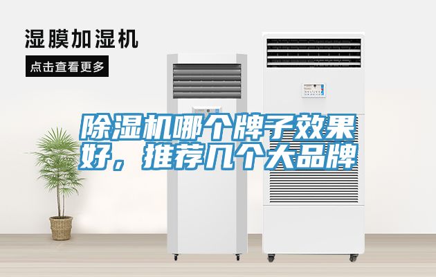 除濕機哪個(gè)牌子效果好，推薦幾個(gè)大品牌