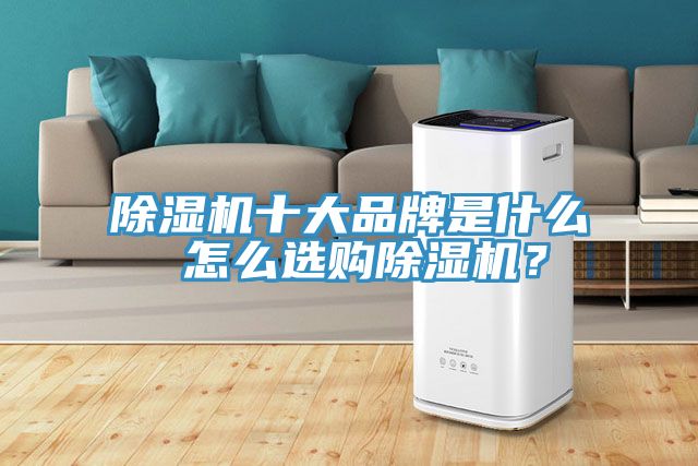 除濕機十大品牌是什么 怎么選購除濕機？