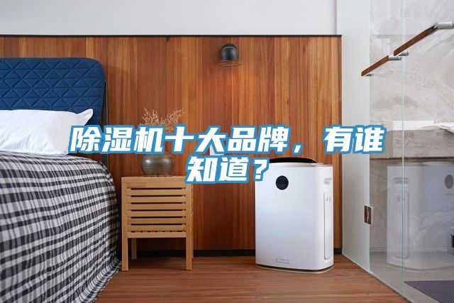 除濕機十大品牌，有誰(shuí)知道？