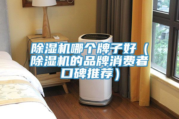 除濕機哪個(gè)牌子好（除濕機的品牌消費者口碑推薦）