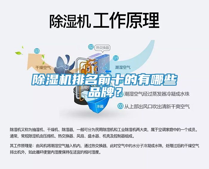 除濕機排名前十的有哪些品牌？