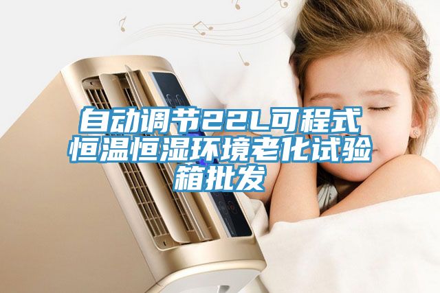 自動(dòng)調節22L可程式恒溫恒濕環(huán)境老化試驗箱批發(fā)