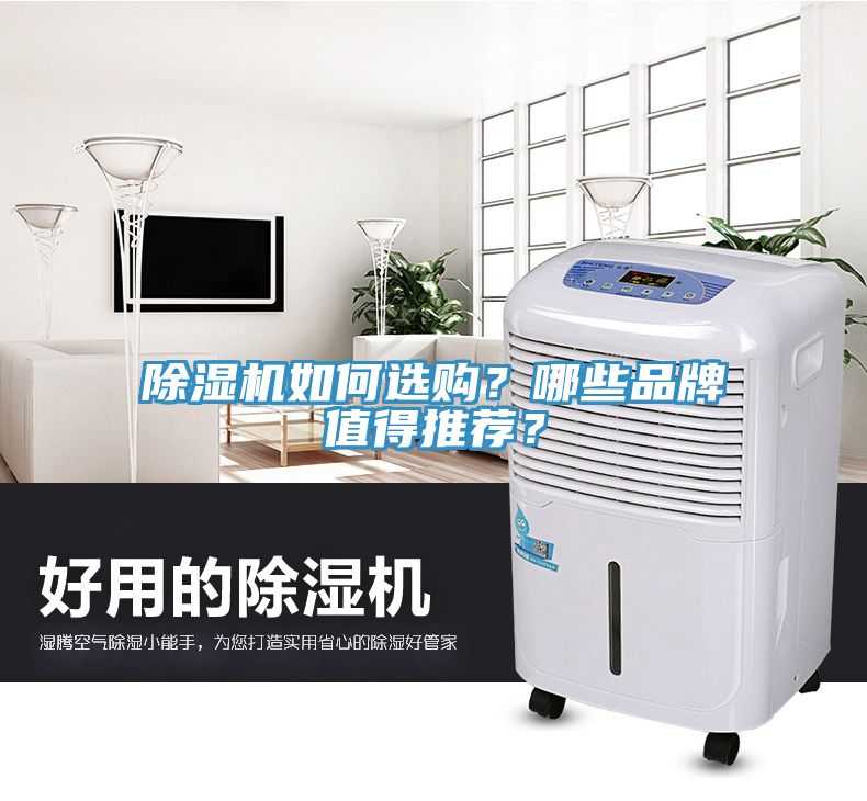 除濕機如何選購？哪些品牌值得推薦？