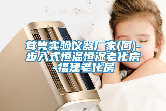 茸雋實(shí)驗儀器廠(chǎng)家(圖)-步入式恒溫恒濕老化房-福建老化房