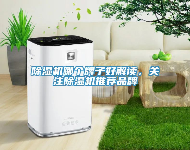 除濕機哪個(gè)牌子好解讀，關(guān)注除濕機推薦品牌
