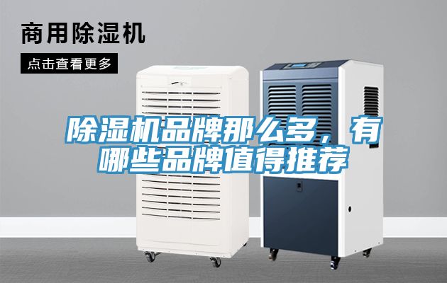 除濕機品牌那么多，有哪些品牌值得推薦