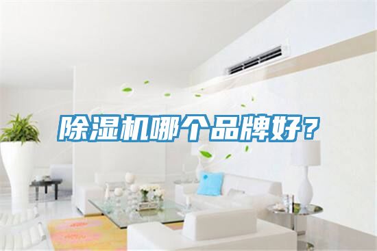 除濕機哪個(gè)品牌好？