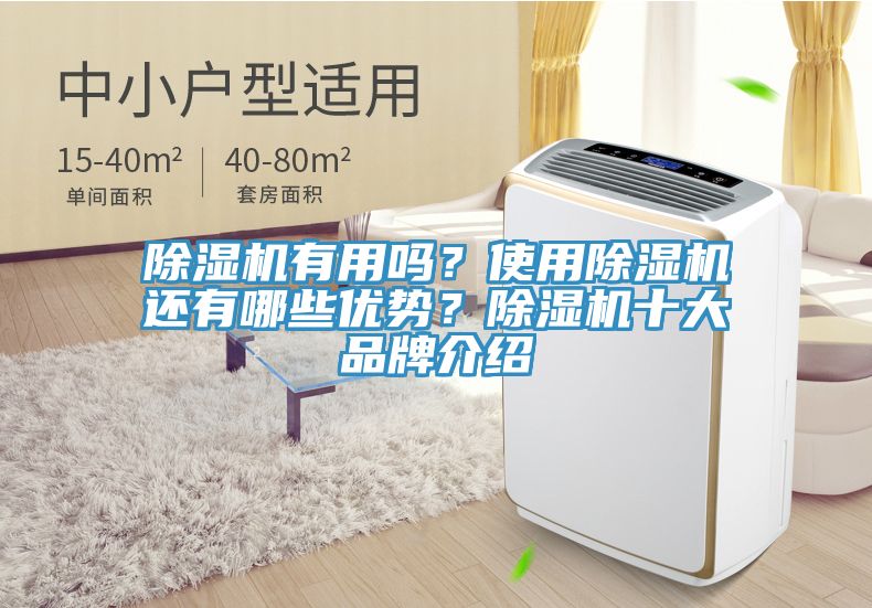 除濕機有用嗎？使用除濕機還有哪些優(yōu)勢？除濕機十大品牌介紹
