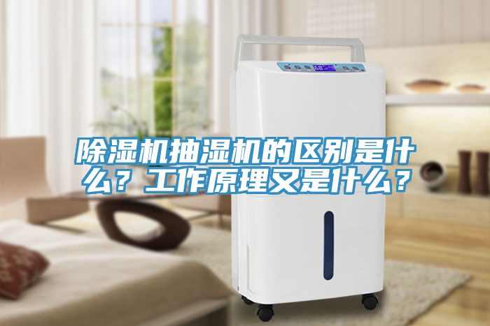 除濕機抽濕機的區別是什么？工作原理又是什么？