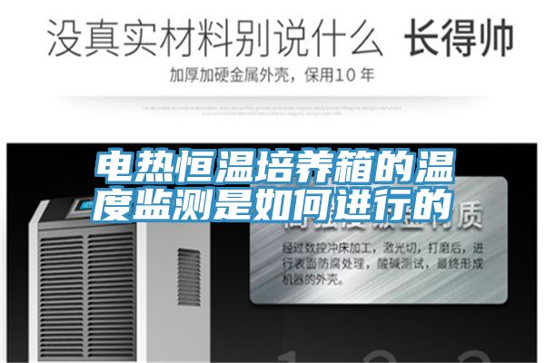 電熱恒溫培養箱的溫度監測是如何進(jìn)行的