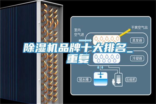 除濕機品牌十大排名_重復