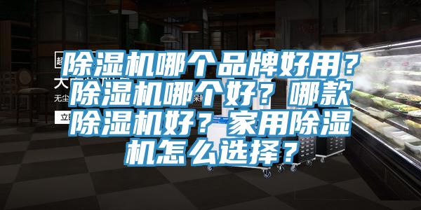 除濕機哪個(gè)品牌好用？除濕機哪個(gè)好？哪款除濕機好？家用除濕機怎么選擇？