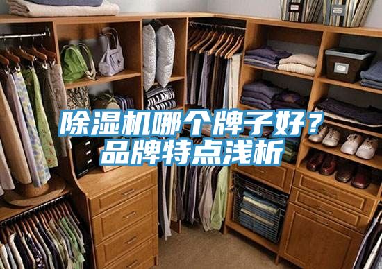 除濕機哪個(gè)牌子好？品牌特點(diǎn)淺析