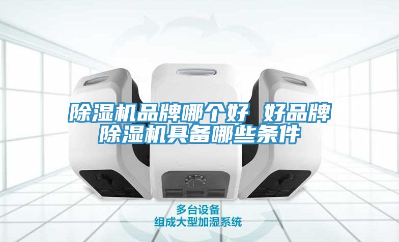 除濕機品牌哪個(gè)好 好品牌除濕機具備哪些條件