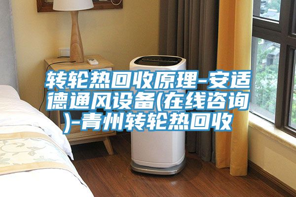 轉輪熱回收原理-安適德通風(fēng)設備(在線(xiàn)咨詢(xún))-青州轉輪熱回收