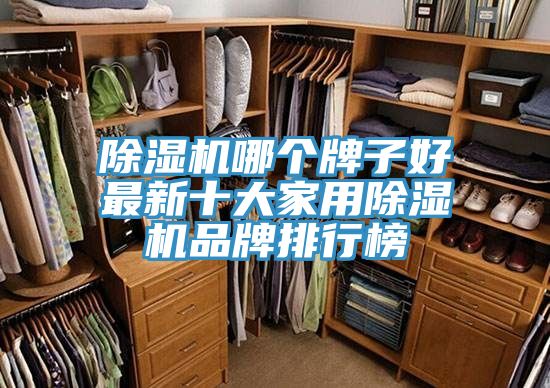 除濕機哪個(gè)牌子好最新十大家用除濕機品牌排行榜