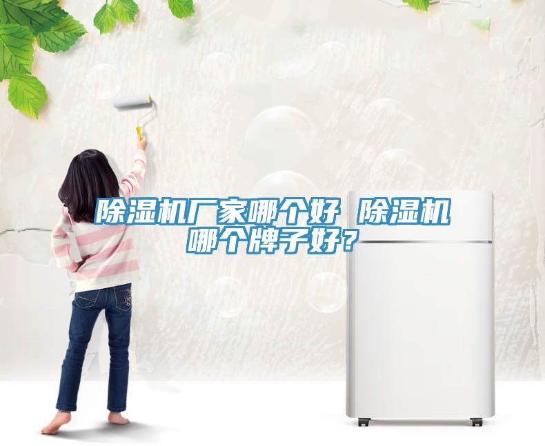 除濕機廠(chǎng)家哪個(gè)好 除濕機哪個(gè)牌子好？