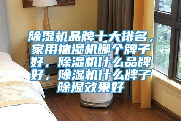 除濕機品牌十大排名，家用抽濕機哪個(gè)牌子好，除濕機什么品牌好，除濕機什么牌子除濕效果好