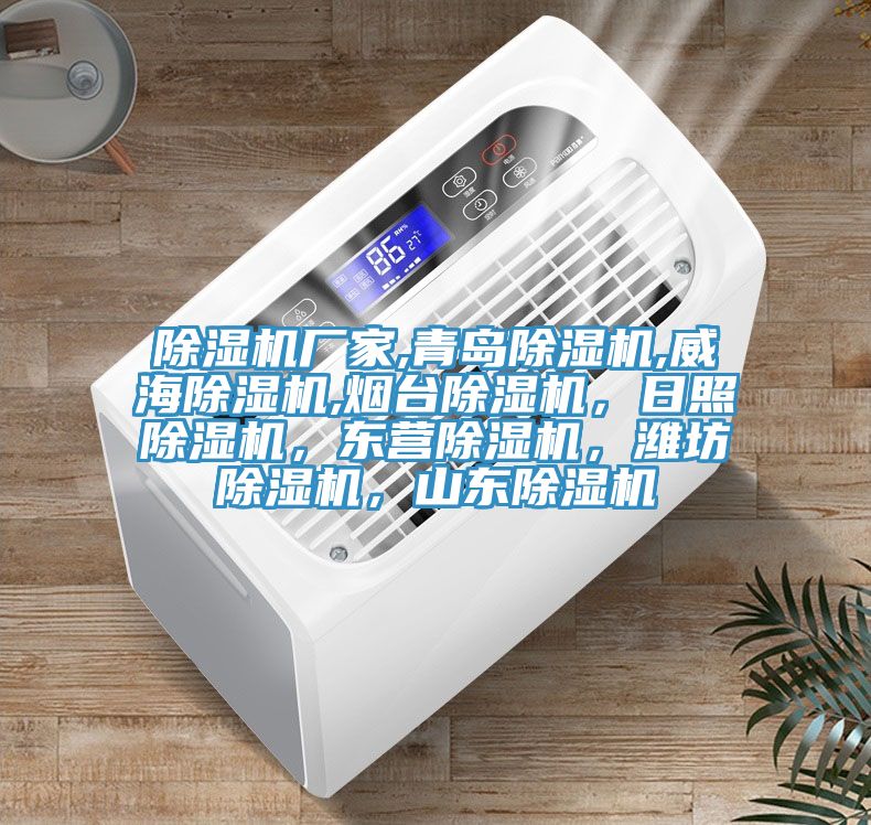 除濕機廠(chǎng)家,青島除濕機,威海除濕機,煙臺除濕機，日照除濕機，東營(yíng)除濕機，濰坊除濕機，山東除濕機