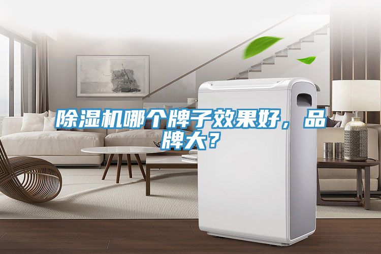 除濕機哪個(gè)牌子效果好，品牌大？