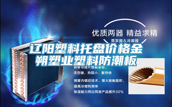 遼陽(yáng)塑料托盤(pán)價(jià)格金朔塑業(yè)塑料防潮板