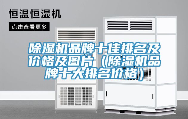 除濕機品牌十佳排名及價(jià)格及圖片（除濕機品牌十大排名價(jià)格）