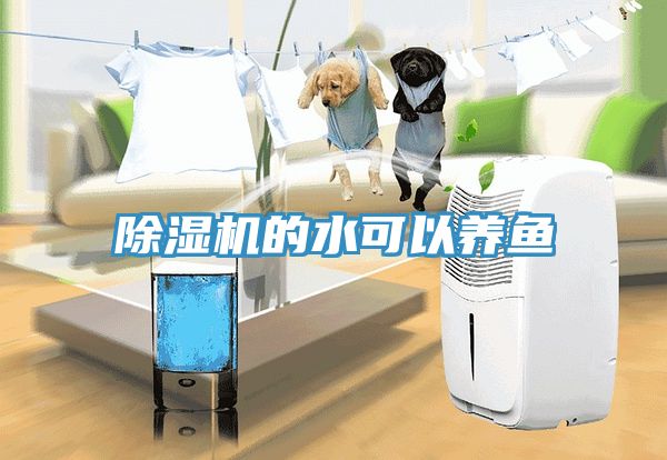 除濕機的水可以養魚(yú)