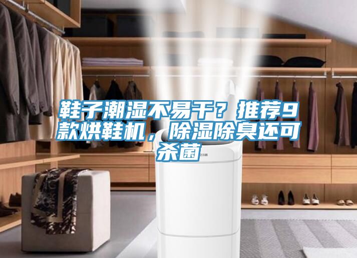 鞋子潮濕不易干？推薦9款烘鞋機，除濕除臭還可殺菌