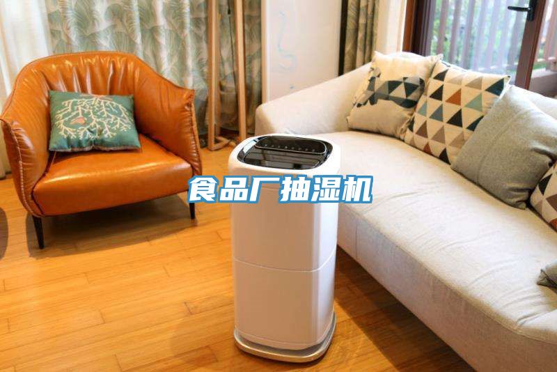 食品廠(chǎng)抽濕機