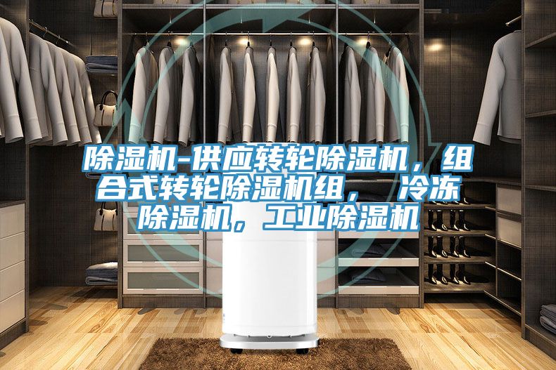 除濕機-供應轉輪除濕機，組合式轉輪除濕機組， 冷凍除濕機，工業(yè)除濕機