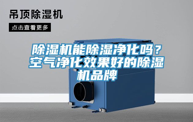 除濕機能除濕凈化嗎？空氣凈化效果好的除濕機品牌