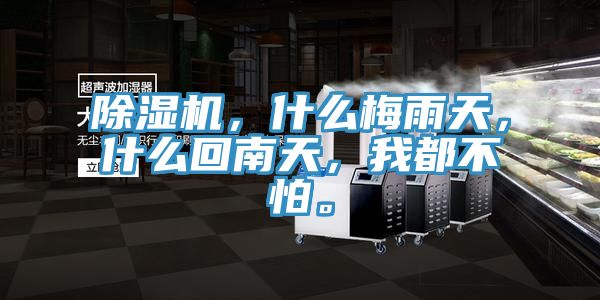 除濕機，什么梅雨天，什么回南天，我都不怕。
