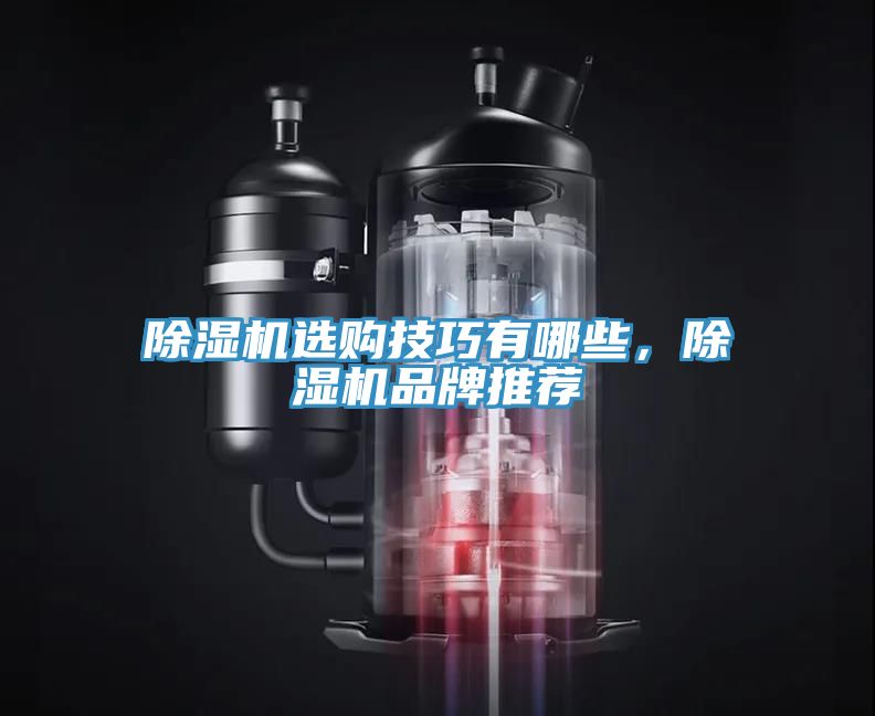 除濕機選購技巧有哪些，除濕機品牌推薦