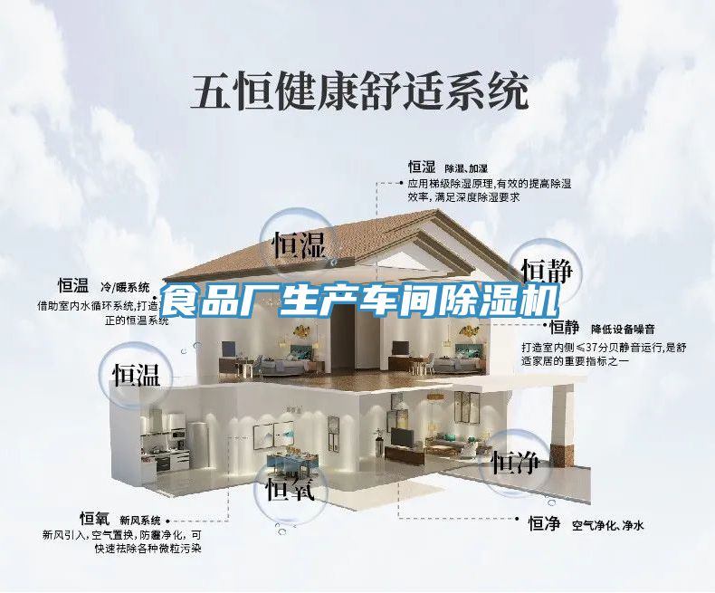 食品廠(chǎng)生產(chǎn)車(chē)間除濕機