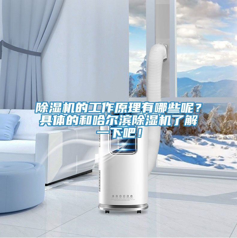 除濕機的工作原理有哪些呢？具體的和哈爾濱除濕機了解一下吧！