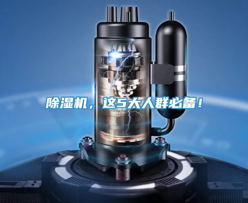 除濕機，這5大人群必備！