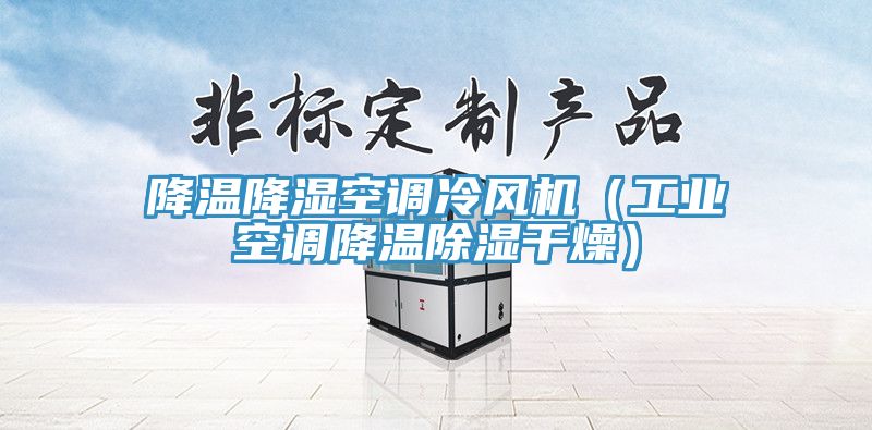 降溫降濕空調冷風(fēng)機（工業(yè)空調降溫除濕干燥）