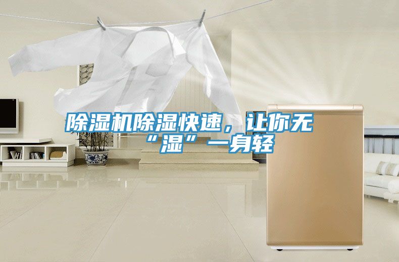 除濕機除濕快速，讓你無(wú)“濕”一身輕