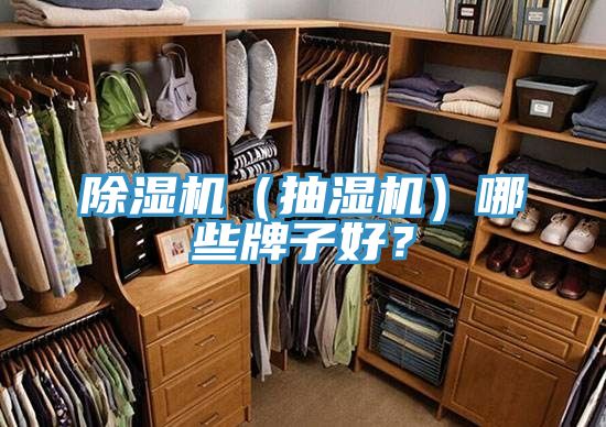 除濕機（抽濕機）哪些牌子好？