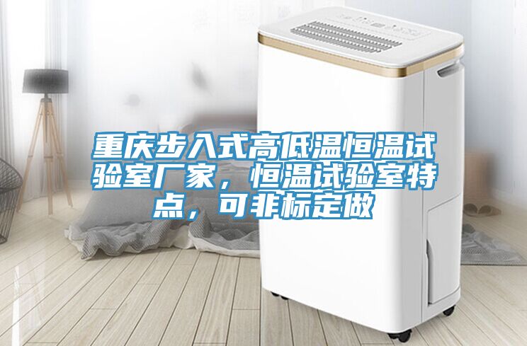 重慶步入式高低溫恒溫試驗室廠(chǎng)家，恒溫試驗室特點(diǎn)，可非標定做