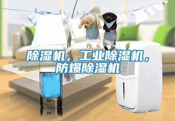 除濕機，工業(yè)除濕機，防爆除濕機