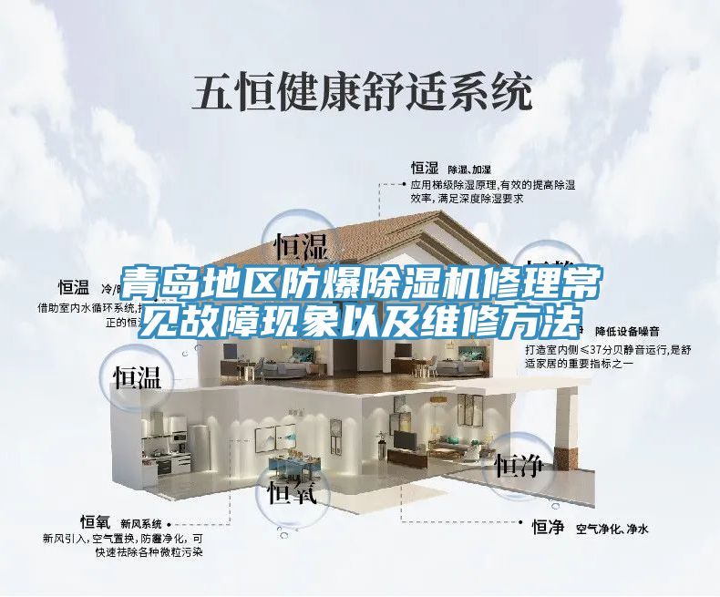 青島地區防爆除濕機修理常見(jiàn)故障現象以及維修方法