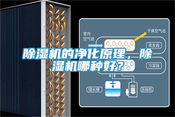 除濕機的凈化原理，除濕機哪種好？