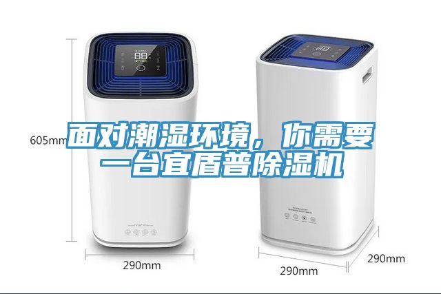 面對潮濕環(huán)境，你需要一臺宜盾普除濕機