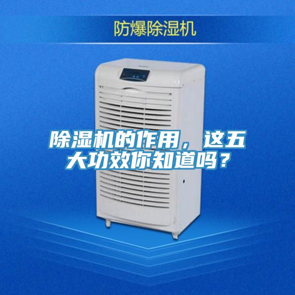除濕機的作用，這五大功效你知道嗎？